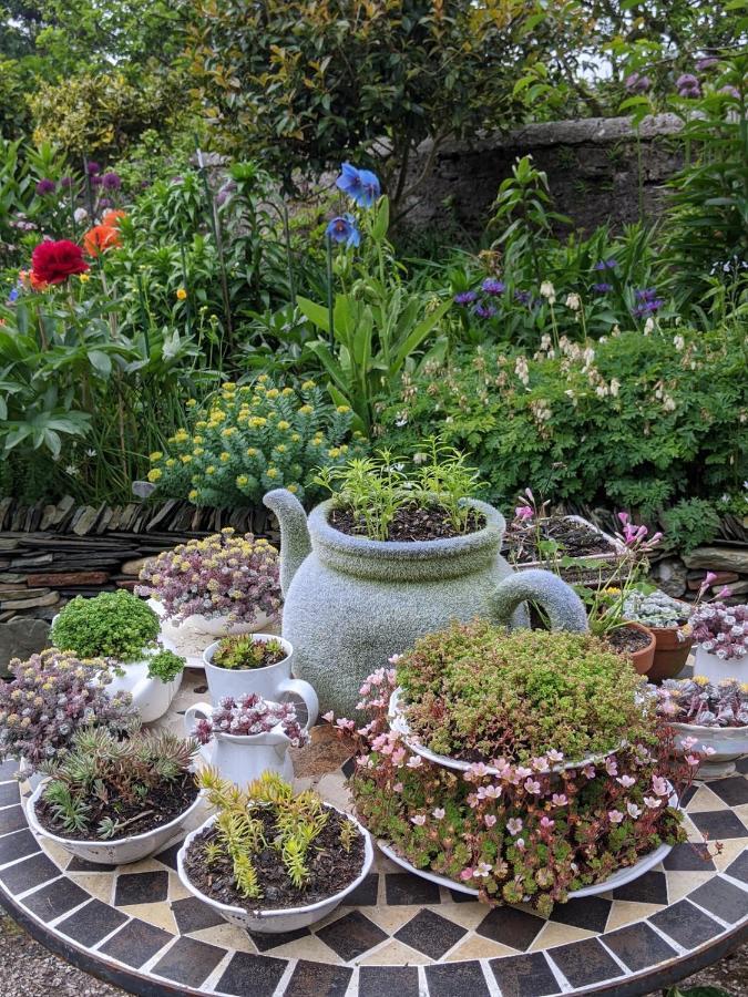Drumfearne Guesthouse & Tearoom Carradale Bagian luar foto